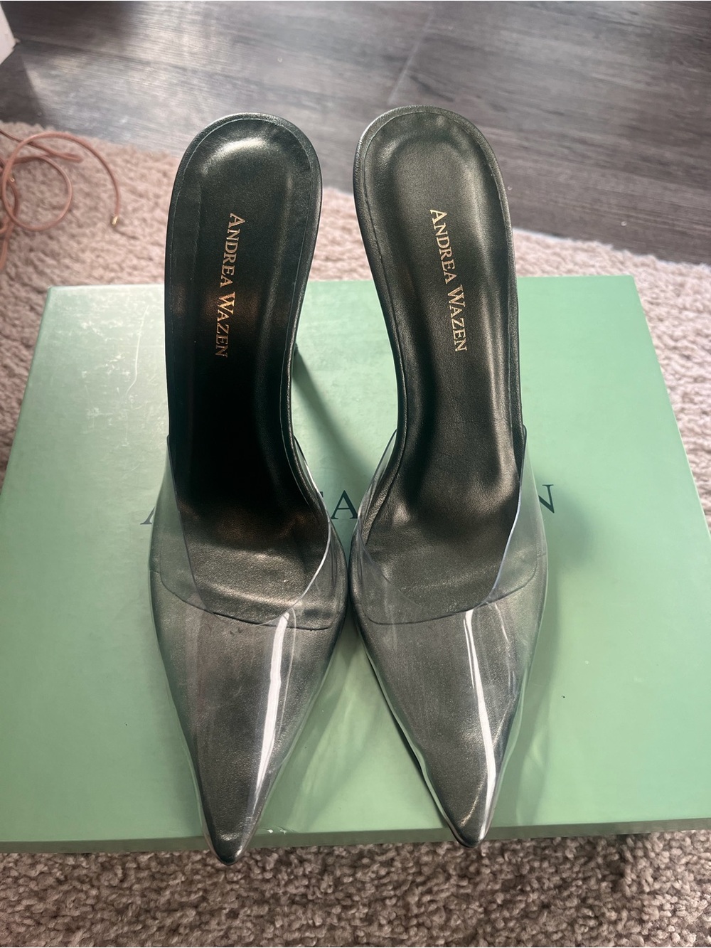 Andrea Wazen Clear Pointed Mule with Black Insole